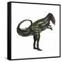 Allosaurus Dinosaur-Stocktrek Images-Framed Stretched Canvas