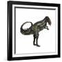 Allosaurus Dinosaur-Stocktrek Images-Framed Art Print