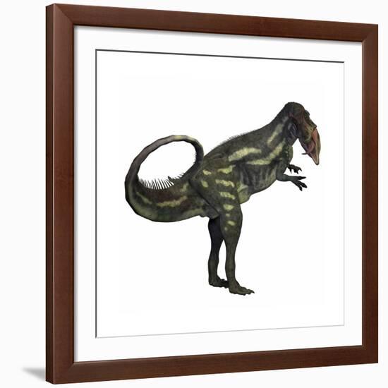 Allosaurus Dinosaur-Stocktrek Images-Framed Art Print