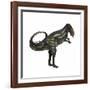 Allosaurus Dinosaur-Stocktrek Images-Framed Art Print