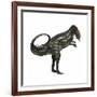 Allosaurus Dinosaur-Stocktrek Images-Framed Art Print