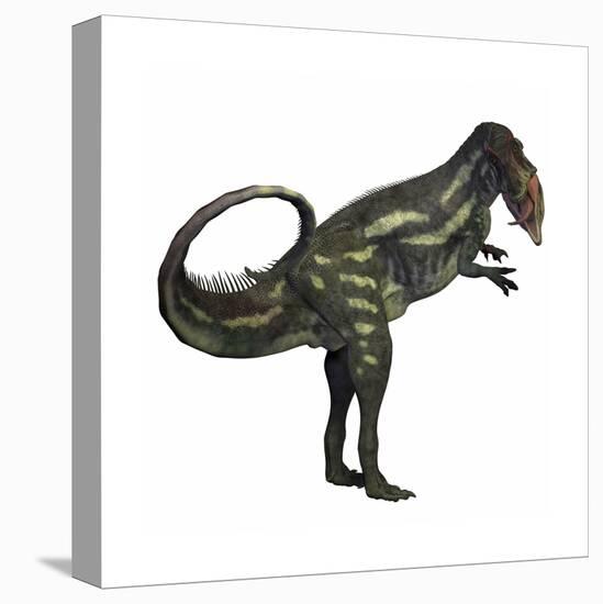 Allosaurus Dinosaur-Stocktrek Images-Stretched Canvas