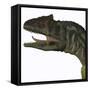 Allosaurus Dinosaur-Stocktrek Images-Framed Stretched Canvas