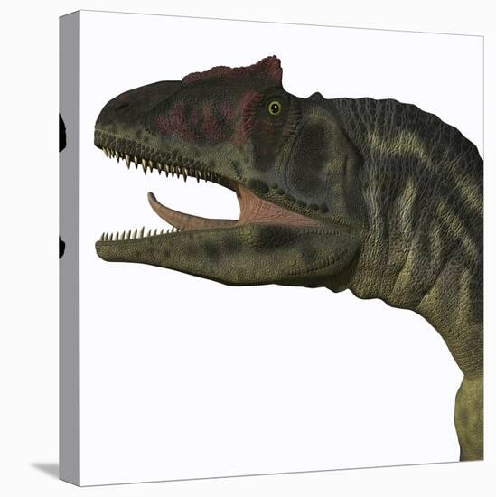 Allosaurus Dinosaur-Stocktrek Images-Stretched Canvas