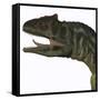 Allosaurus Dinosaur-Stocktrek Images-Framed Stretched Canvas