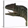 Allosaurus Dinosaur-Stocktrek Images-Stretched Canvas