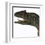 Allosaurus Dinosaur-Stocktrek Images-Framed Art Print