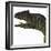 Allosaurus Dinosaur-Stocktrek Images-Framed Art Print