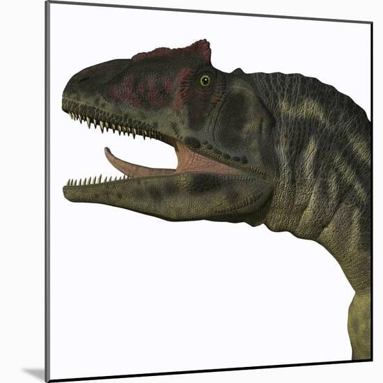 Allosaurus Dinosaur-Stocktrek Images-Mounted Art Print