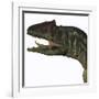 Allosaurus Dinosaur-Stocktrek Images-Framed Art Print