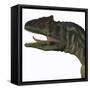 Allosaurus Dinosaur-Stocktrek Images-Framed Stretched Canvas