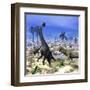 Allosaurus Dinosaurs Attacking a Brachiosaurus in the Desert-Stocktrek Images-Framed Art Print