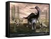 Allosaurus Dinosaurs Attacking an Apatosaurus-Stocktrek Images-Framed Stretched Canvas