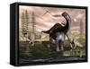 Allosaurus Dinosaurs Attacking an Apatosaurus-Stocktrek Images-Framed Stretched Canvas