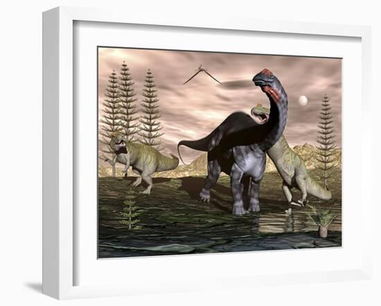 Allosaurus Dinosaurs Attacking an Apatosaurus-Stocktrek Images-Framed Art Print