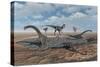 Allosaurus Dinosaurs Prey on Young Diplodocus Dinosaurs Trapped in a Mud Pit-Stocktrek Images-Stretched Canvas