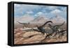 Allosaurus Dinosaurs Stalk a Diplodocus Trapped in a Mud Pit-Stocktrek Images-Framed Stretched Canvas