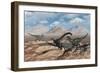 Allosaurus Dinosaurs Stalk a Diplodocus Trapped in a Mud Pit-Stocktrek Images-Framed Art Print