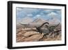 Allosaurus Dinosaurs Stalk a Diplodocus Trapped in a Mud Pit-Stocktrek Images-Framed Art Print