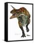 Allosaurus-Tim Knepp-Framed Stretched Canvas