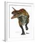 Allosaurus-Tim Knepp-Framed Giclee Print