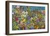 Allotment Garden, 2009-Frances Treanor-Framed Giclee Print