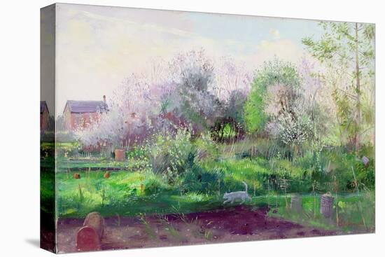 Allotment Stalker, 1991-Timothy Easton-Stretched Canvas