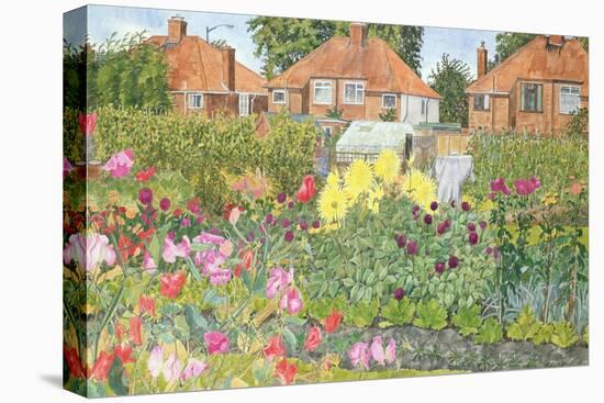 Allotments and Dahlias-Linda Benton-Stretched Canvas