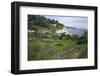 Allotments on the Coast at Beer, Devon, England, United Kingdom, Europe-Rob Cousins-Framed Photographic Print