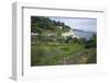 Allotments on the Coast at Beer, Devon, England, United Kingdom, Europe-Rob Cousins-Framed Photographic Print