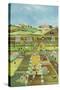 Allotments-Judy Joel-Stretched Canvas