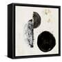 Allured III-PI Studio-Framed Stretched Canvas