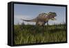 Alluring Aucasaurus in Grassland-Stocktrek Images-Framed Stretched Canvas