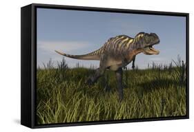 Alluring Aucasaurus in Grassland-Stocktrek Images-Framed Stretched Canvas