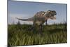 Alluring Aucasaurus in Grassland-Stocktrek Images-Mounted Art Print