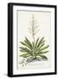 Black Frame
