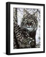 Alluring Eyes-Jenny Newland-Framed Giclee Print