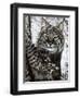 Alluring Eyes-Jenny Newland-Framed Premium Giclee Print