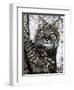 Alluring Eyes-Jenny Newland-Framed Premium Giclee Print