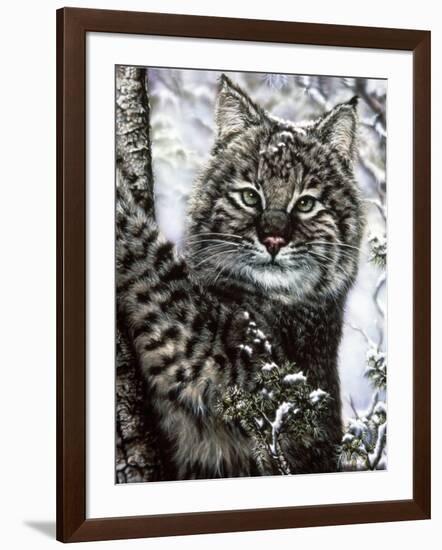 Alluring Eyes-Jenny Newland-Framed Giclee Print