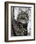 Alluring Eyes-Jenny Newland-Framed Giclee Print