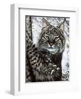 Alluring Eyes-Jenny Newland-Framed Giclee Print