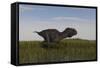 Alluring Majungasaurus in Swamp Grassland-Stocktrek Images-Framed Stretched Canvas