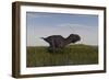 Alluring Majungasaurus in Swamp Grassland-Stocktrek Images-Framed Art Print