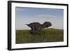 Alluring Majungasaurus in Swamp Grassland-Stocktrek Images-Framed Art Print