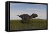 Alluring Majungasaurus in Swamp Grassland-Stocktrek Images-Framed Stretched Canvas