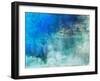 Allusive-Michelle Oppenheimer-Framed Art Print