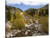 Alluvial Fan, Rocky Mountain National Park, Colorado, USA-Jamie & Judy Wild-Stretched Canvas