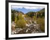 Alluvial Fan, Rocky Mountain National Park, Colorado, USA-Jamie & Judy Wild-Framed Photographic Print