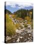 Alluvial Fan, Rocky Mountain National Park, Colorado, USA-Jamie & Judy Wild-Stretched Canvas